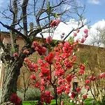 Ca Morari Argenta