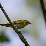 Ca Morari 3* Argenta