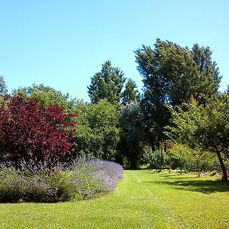 לינה וארוחת בוקר Ca Morari Argenta