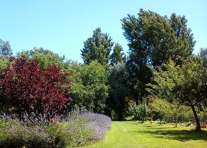 Bed & Breakfast Ca Morari Argenta