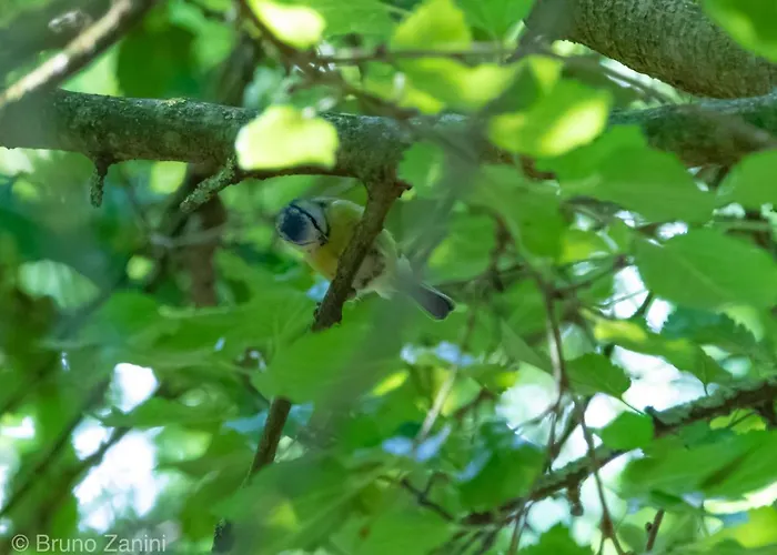 Ca Morari Bed & Breakfast 3*