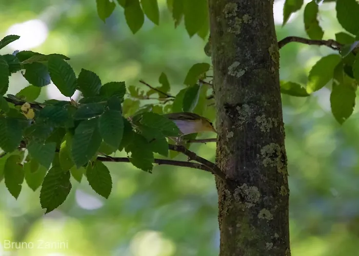 Ca Morari Bed & Breakfast Argenta