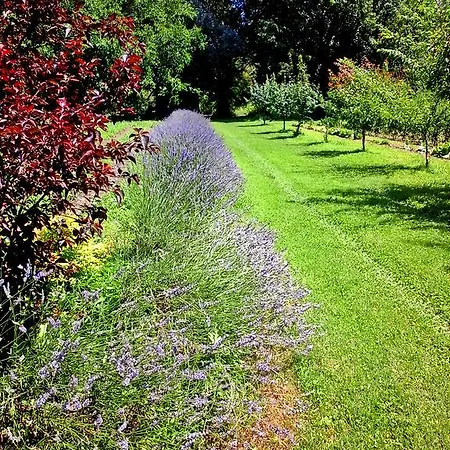 Ca Morari 3* Argenta