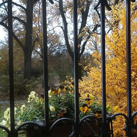 Bed and breakfast Ca Morari