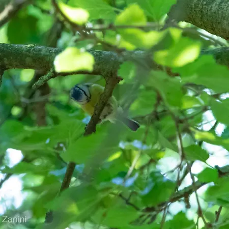 Ca Morari Bed and breakfast 3*