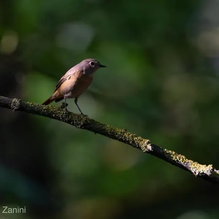 Ca Morari Bed and breakfast