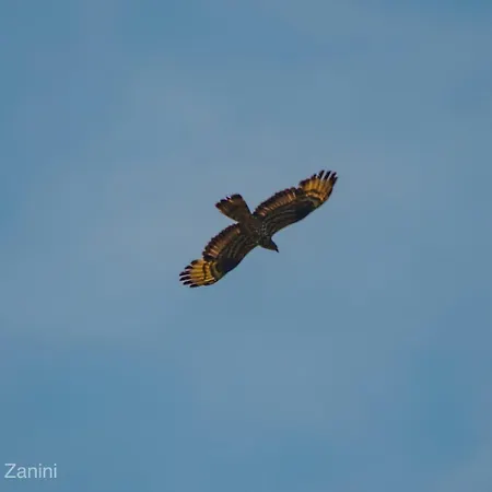 Ca Morari לינה וארוחת בוקר