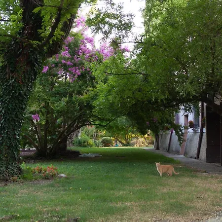 לינה וארוחת בוקר Ca Morari