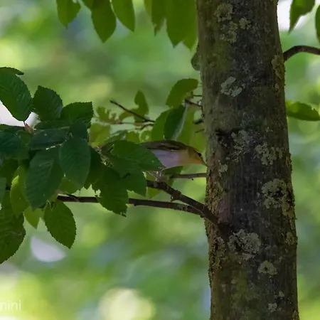 Ca Morari Bed and breakfast Argenta