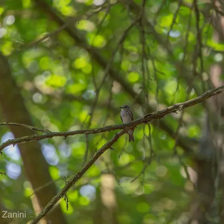 Ca Morari לינה וארוחת בוקר Argenta