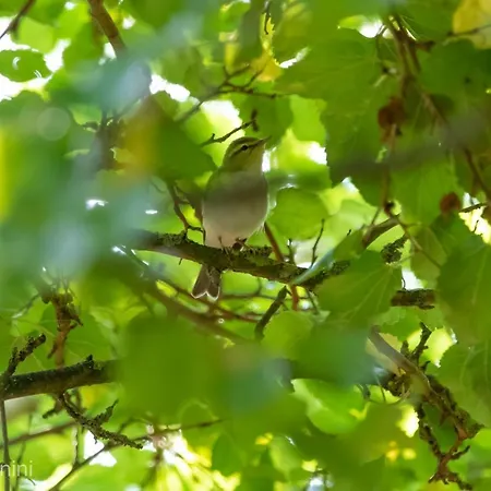 Ca Morari לינה וארוחת בוקר