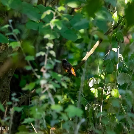 Ca Morari 3* Argenta