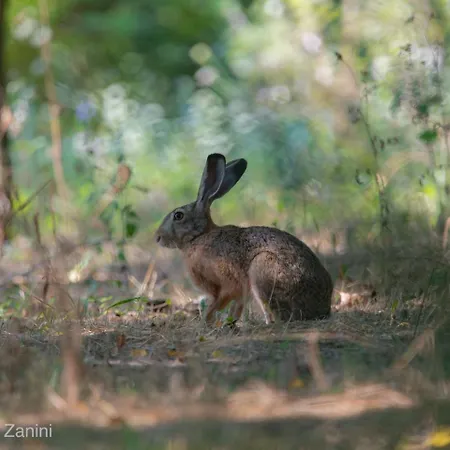 Bed and breakfast Ca Morari 3*