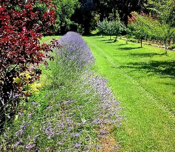 Ca Morari 3* Argenta