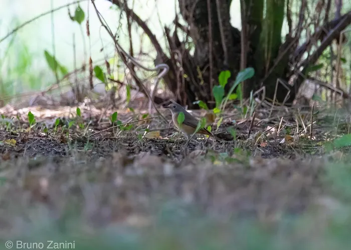 Ca Morari 3* Argenta