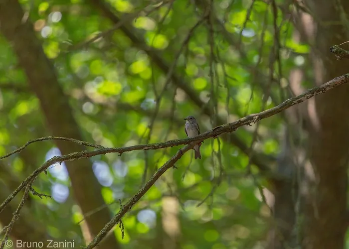 Ca Morari ベッド・アンド・ブレックファスト Argenta