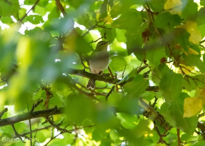 Ca Morari ベッド・アンド・ブレックファスト