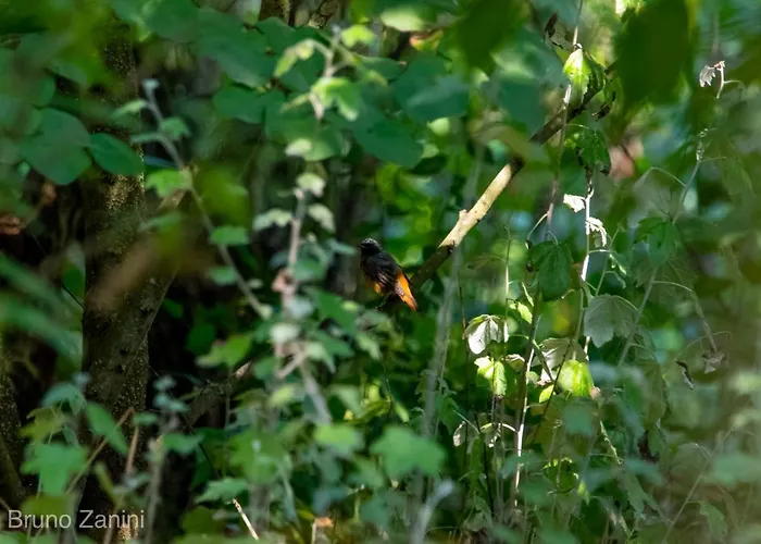 Ca Morari 3* Argenta