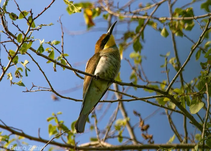 ベッド・アンド・ブレックファスト Ca Morari 3*